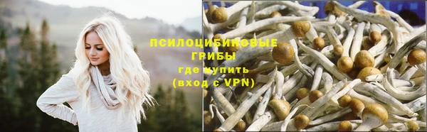круглые Алексеевка