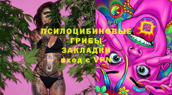 круглые Алексеевка