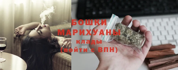 PSILOCYBIN Алзамай
