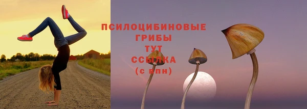 PSILOCYBIN Алзамай