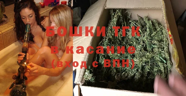 PSILOCYBIN Алзамай