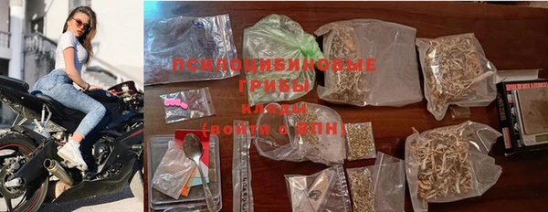гидра Алексин