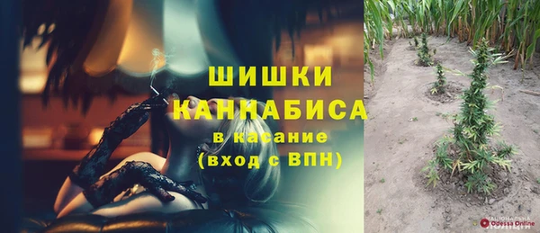 PSILOCYBIN Алзамай