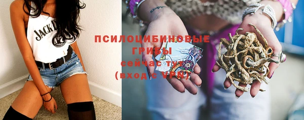 PSILOCYBIN Алзамай