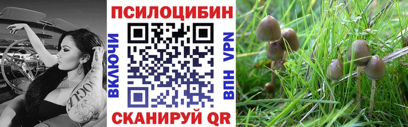 как найти закладки  KRAKEN зеркало  Псилоцибиновые грибы GOLDEN TEACHER  Нефтекумск 